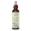 Bach Original Flower Remedies Holly – Emotional Balance | Goodwill Towards Others | 20mL Dropper