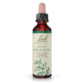 Bach Holly Flower Remedy - Goodwill Towards Others | 20mL Dropper