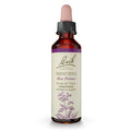 Bach Original Flower Remedies Impatiens – Have Patience, 20mL Dropper