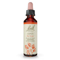 Bach Original Flower Remedies Aspen – Feel Secure – 20mL Dropper