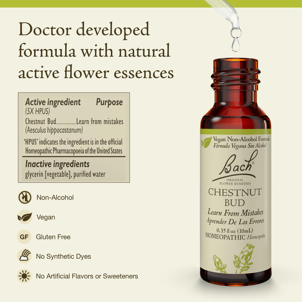 Chestnut Bud Non-Alcohol Flower Remedy – Bach Original | Learn From Mistakes | 10mL Dropper