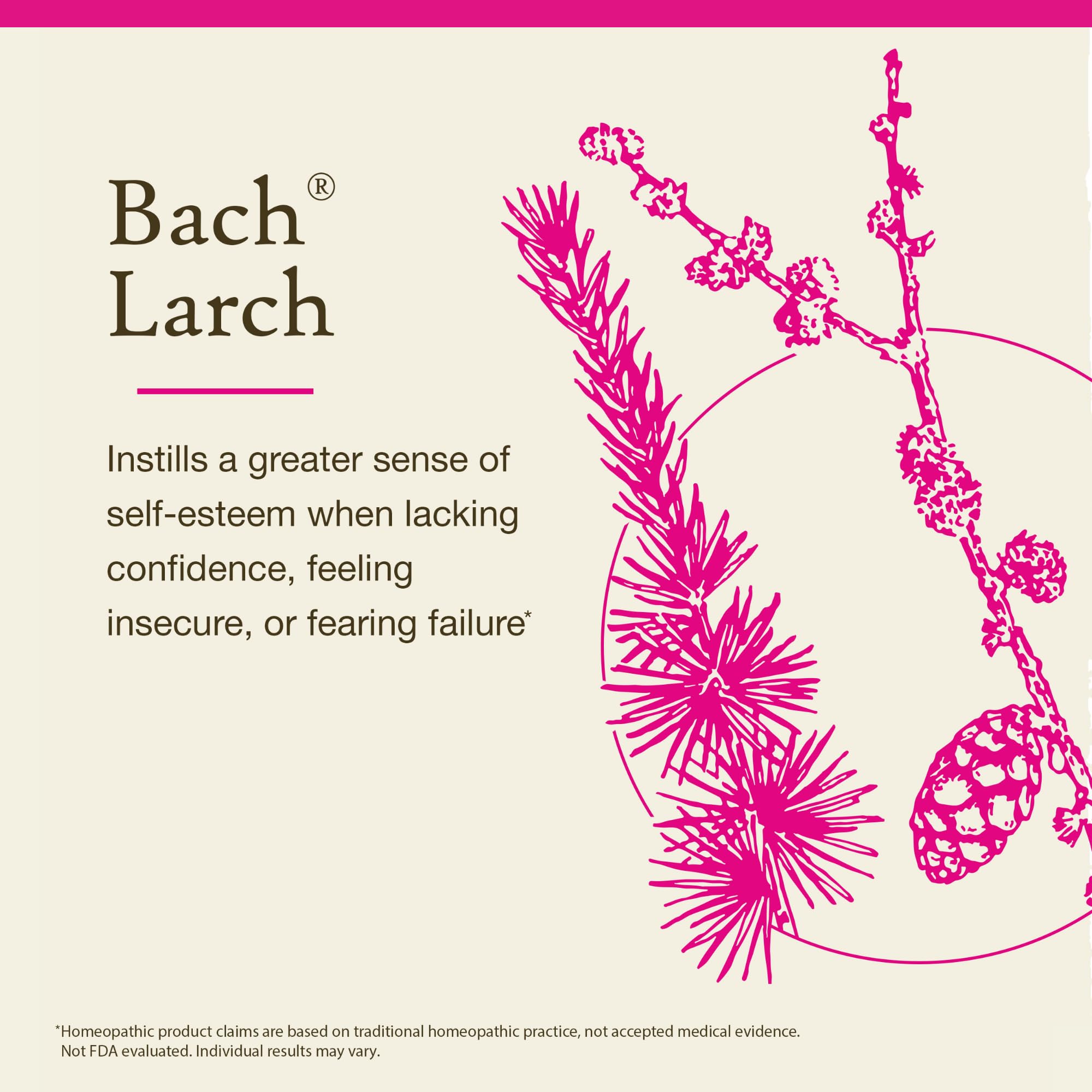 BACH Larch Original Flower Remedy - Have Confidence | 20mL Dropper | Vegan