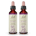 Bach Impatiens Original Flower Remedies – 20mL Dropper (2-Pack) – Have Patience