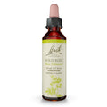 Bach Original Flower Remedies Wild Rose – Show Enthusiasm – 20mL Dropper