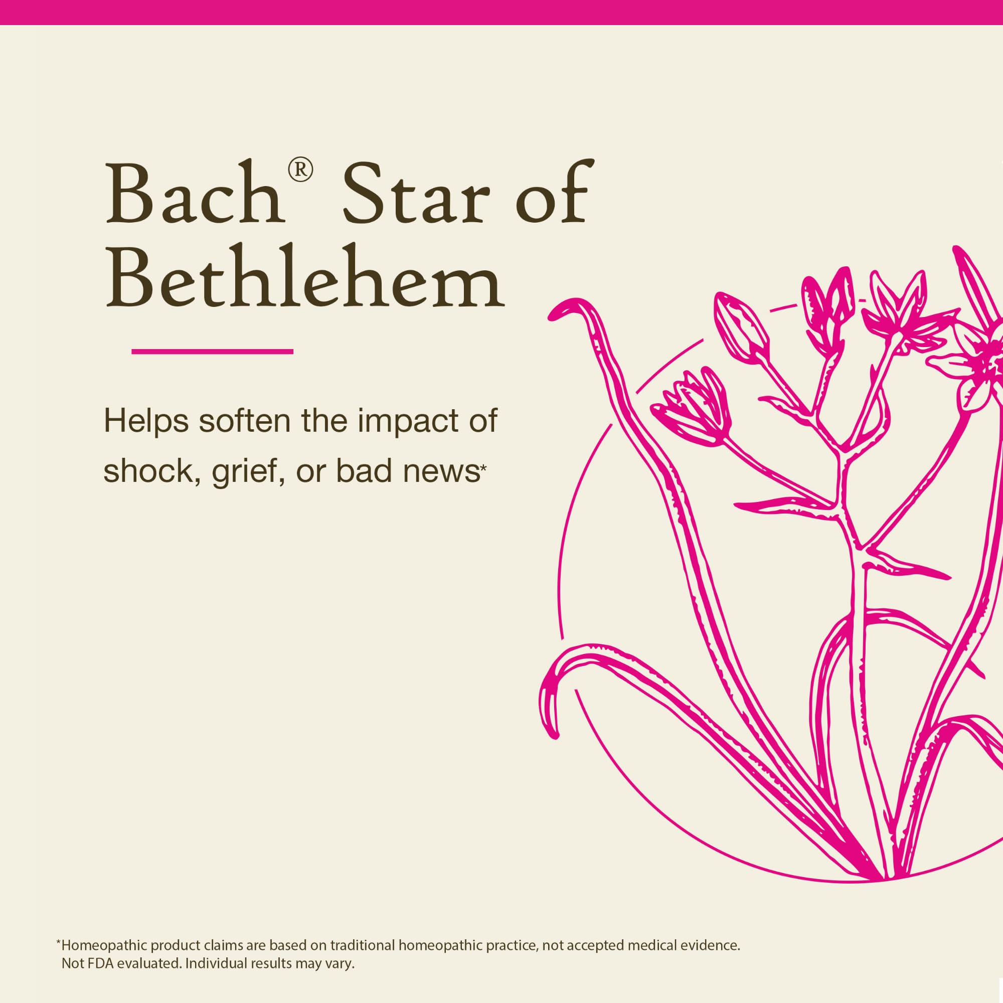 Bach Original Flower Remedies: Star of Bethlehem - Neutralize Grief - 20mL Dropper
