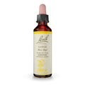 Bach Gorse Original Flower Remedies – Have Hope | 20mL Dropper