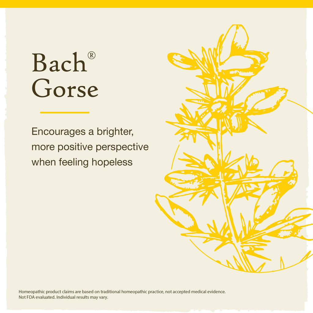Bach Gorse Original Flower Remedies – Have Hope | 20mL Dropper