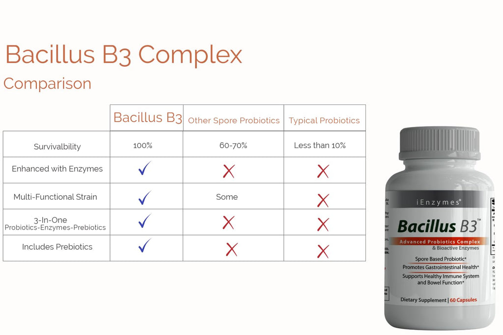 New Bacillus B3 Probiotic Complex & Enzymes – 60 Capsules (100% Spore-Based SBO)