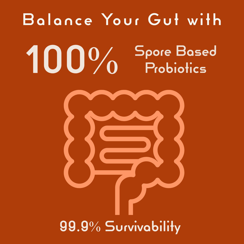 New Bacillus B3 Probiotic Complex & Enzymes – 60 Capsules (100% Spore-Based SBO)