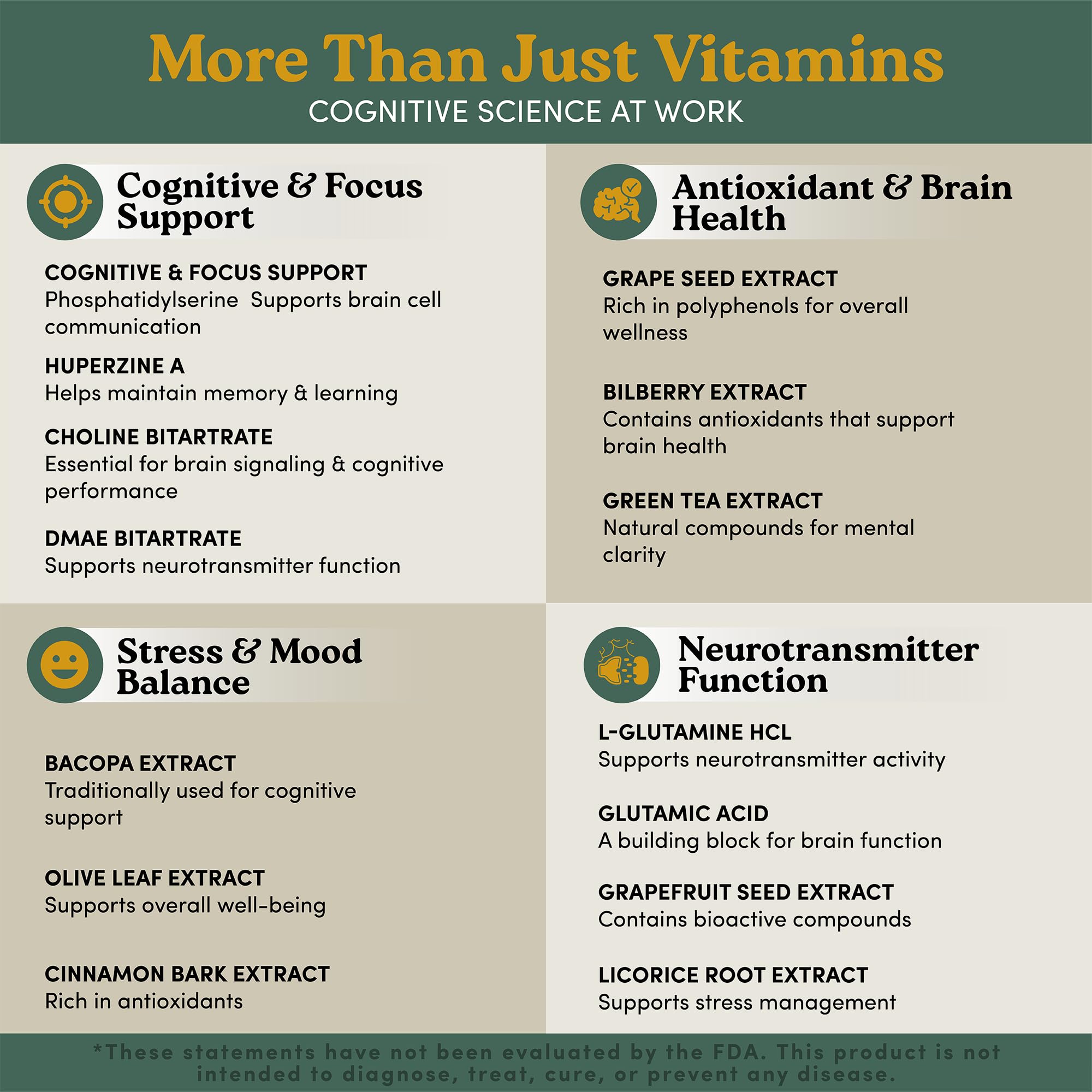Brain Supplements for Memory & Focus – Bacopa, PS & Omega-3