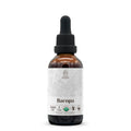 Bacopa USDA Organic – Alcohol-Free Tincture for Cognitive Support