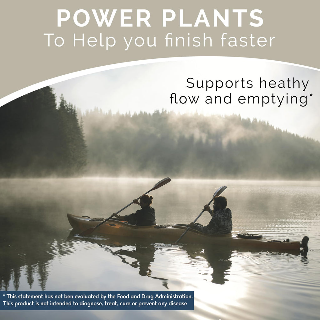 Balanced Vibe Prostate Support – Organic Plant-Based Formula for Men | 90 Vegan Capsules