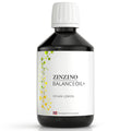 Zinzino BalanceOil+ Vegan Lemon – Marine Micro-Algae, Olive Oil & Vegan D3, 300 ml
