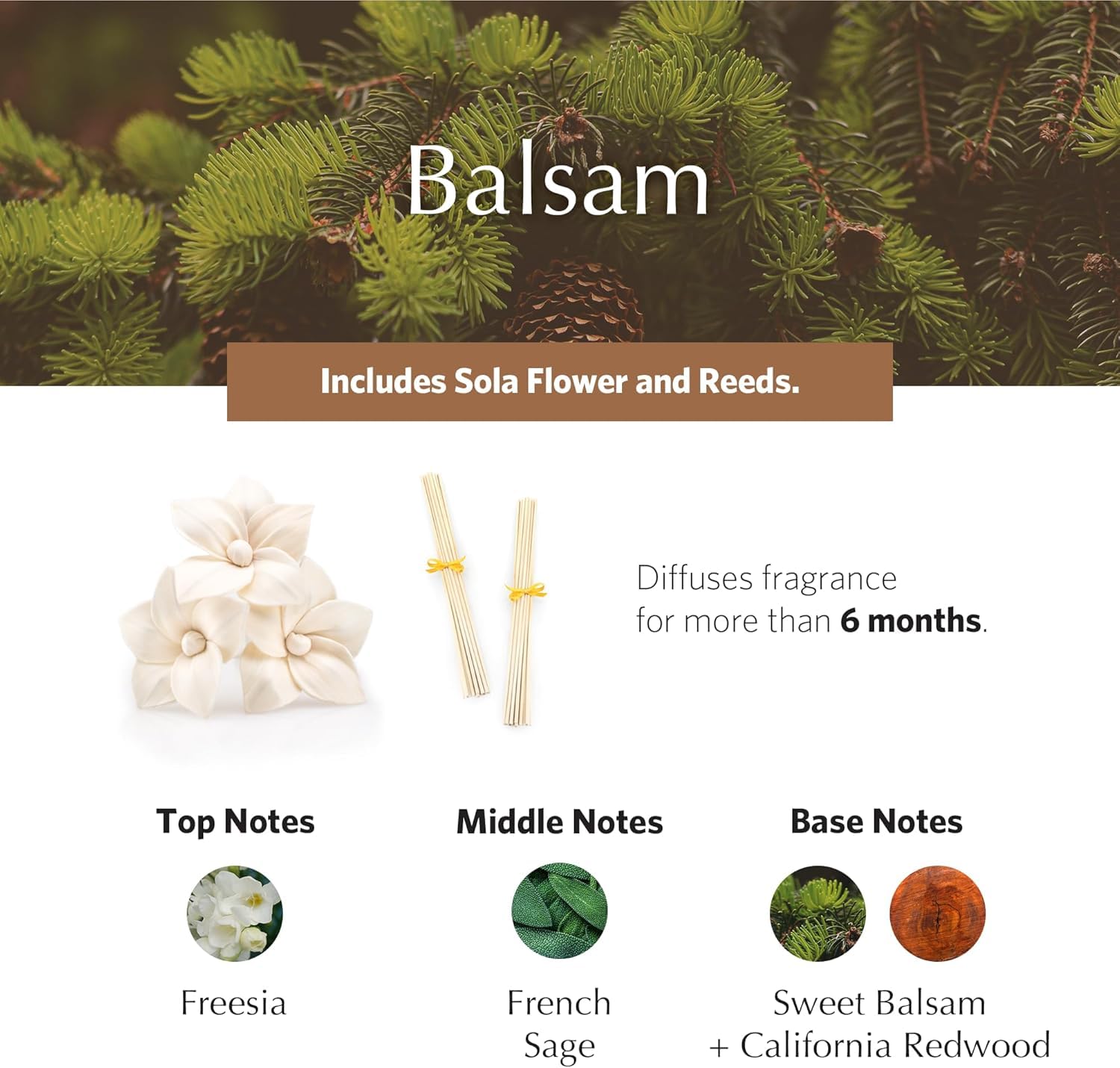 Balsam Holiday AirEssence Diffuser 7.4oz – Luxury Flower & Reed Diffuser by Agraria