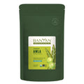 Banyan Botanicals Amla Powder – Organic Amalaki (Phyllanthus Emblica) | Vitamin C & Antioxidants | Digestion Support – 1/2 lb – Non-GMO