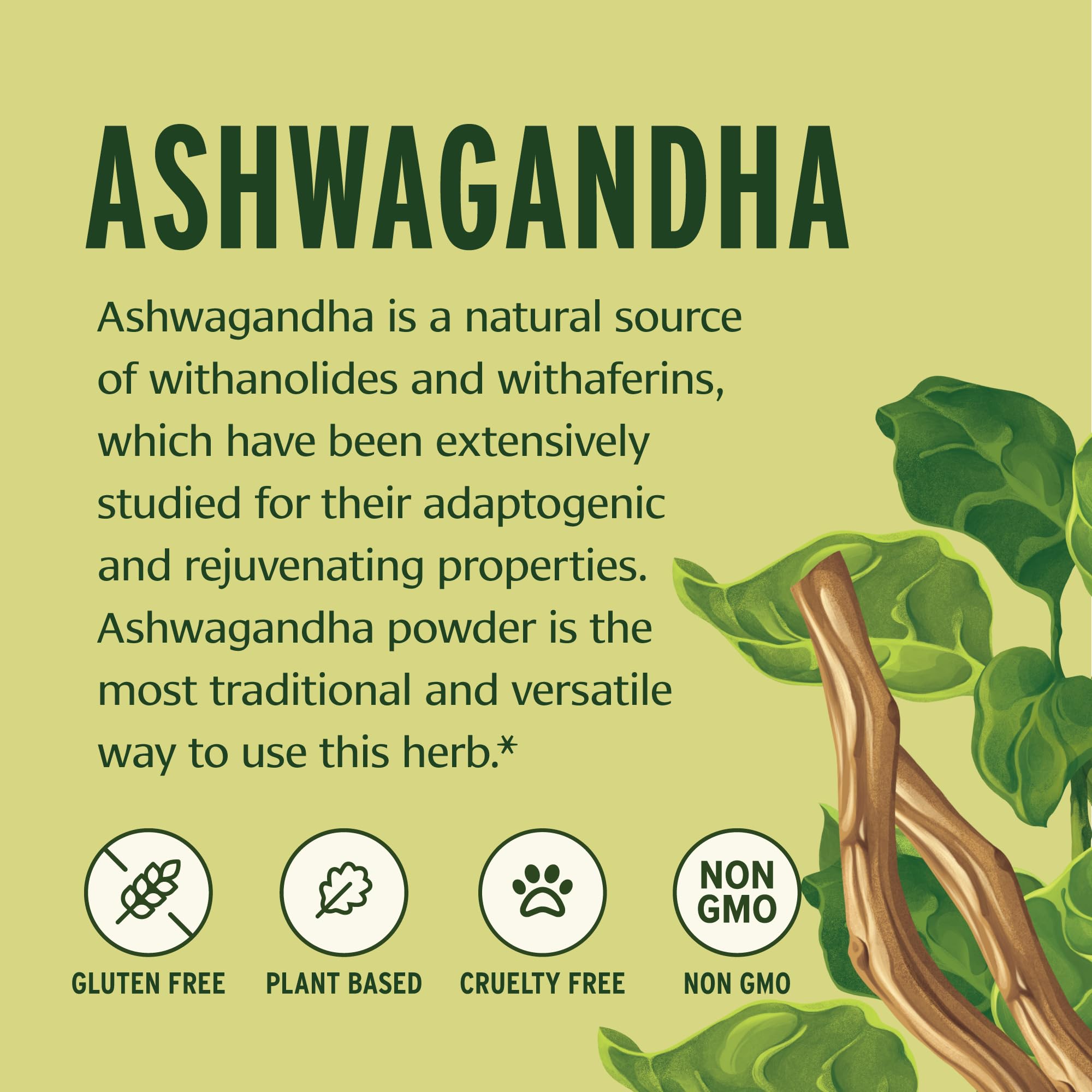 Banyan Botanicals Ashwagandha Powder – Organic, Non-GMO, 1lb
