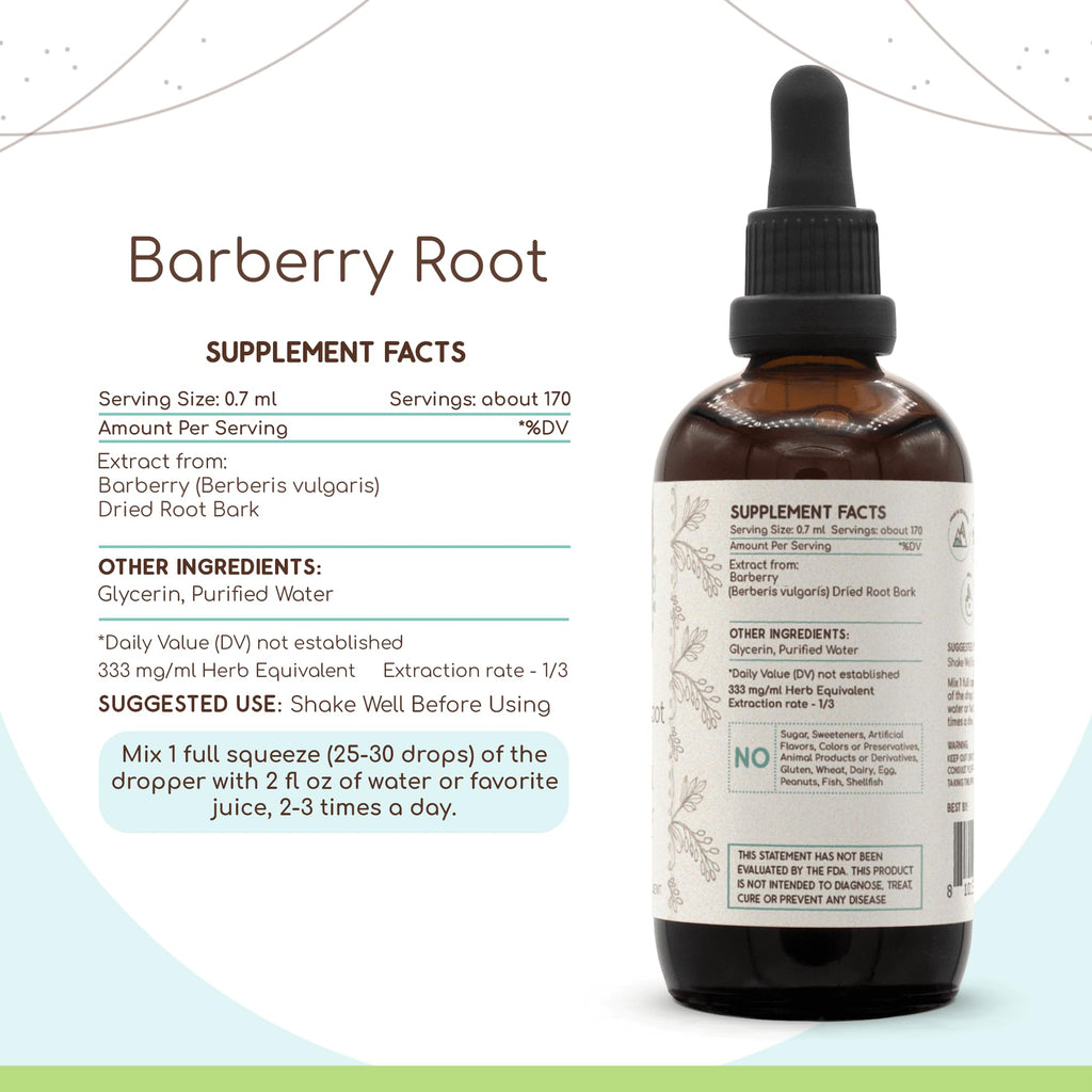 Barberry Root B120 Alcohol-Free Herbal Extract Tincture - Berberis Vulgaris 4 fl oz | Herbera