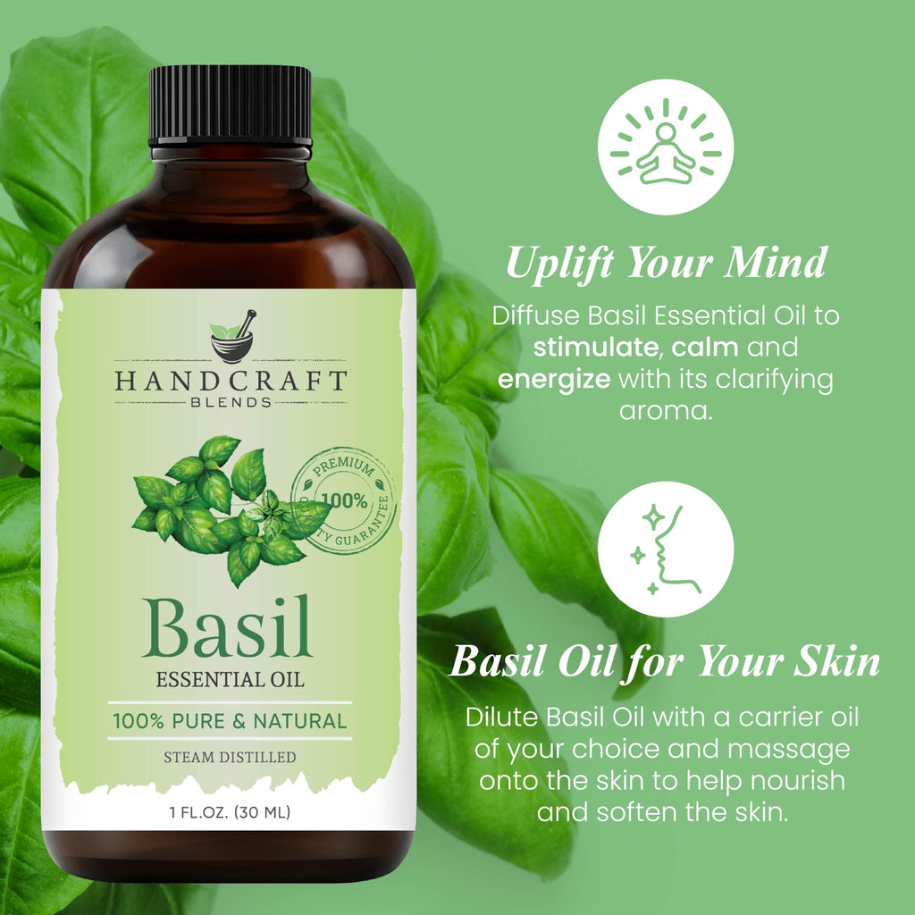 Handcraft Blends Basil Essential Oil – 1 Fl Oz | 100% Pure & Natural