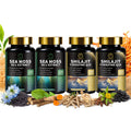 BBEEAAUU Sea Moss & Shilajit Bundle - Energy & Immunity, 480 Capsules