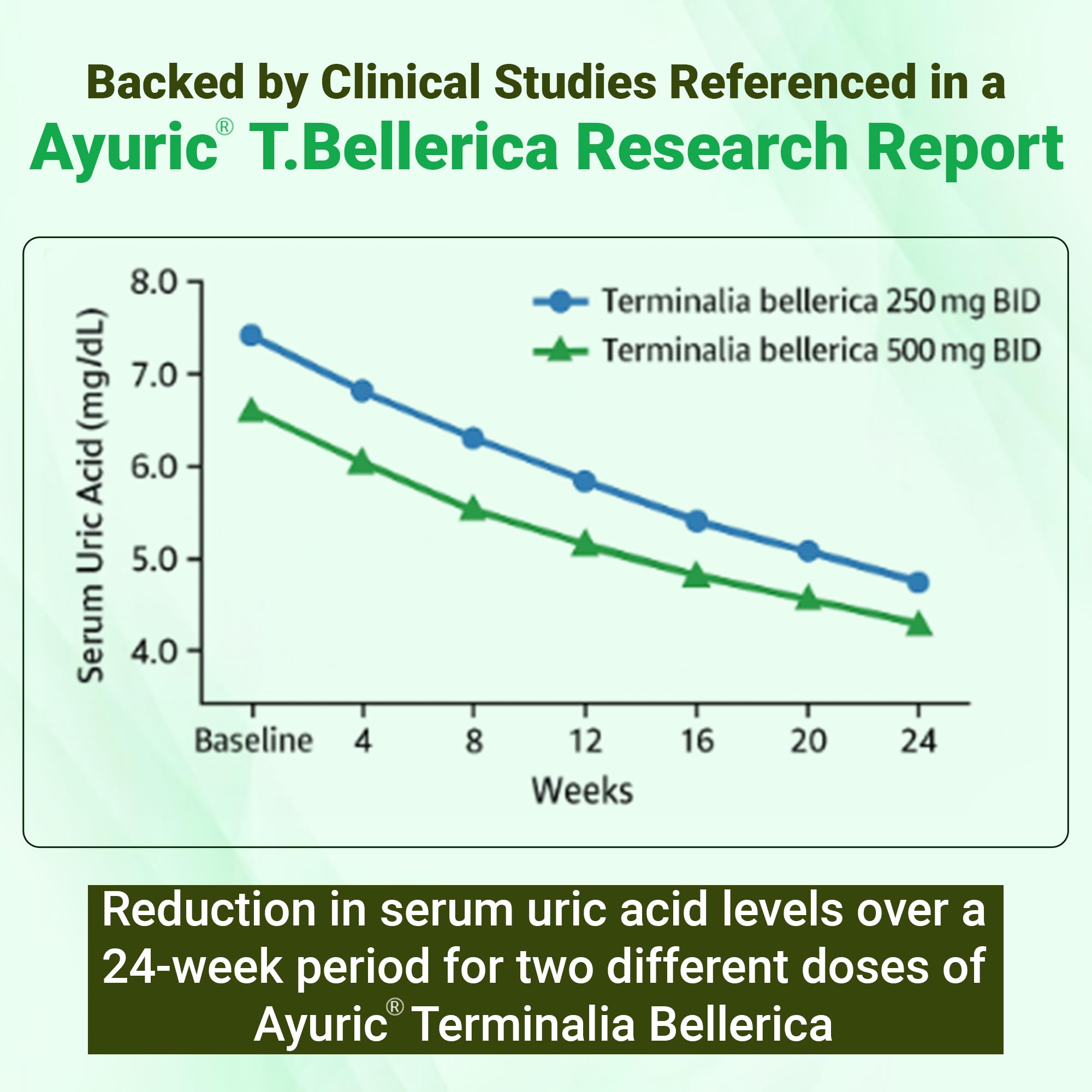 BBETTER UricUrja – Uric Acid Support with Ayuric® (Terminalia bellirica)