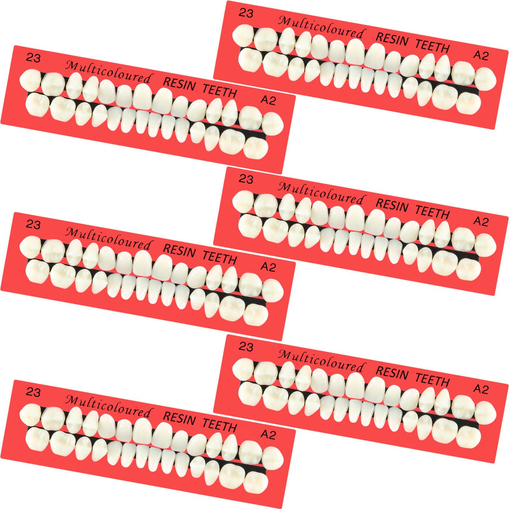 BBTO 6 Sets Acrylic Resin Fake Teeth – Denture Replacement Prop, A2, 168 Pieces