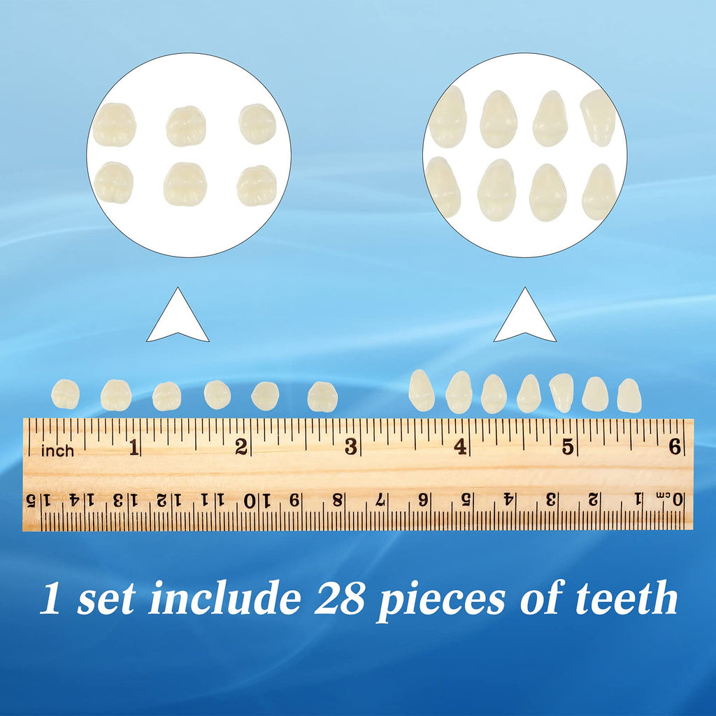BBTO 6 Sets Acrylic Resin Fake Teeth – Denture Replacement Prop, A2, 168 Pieces