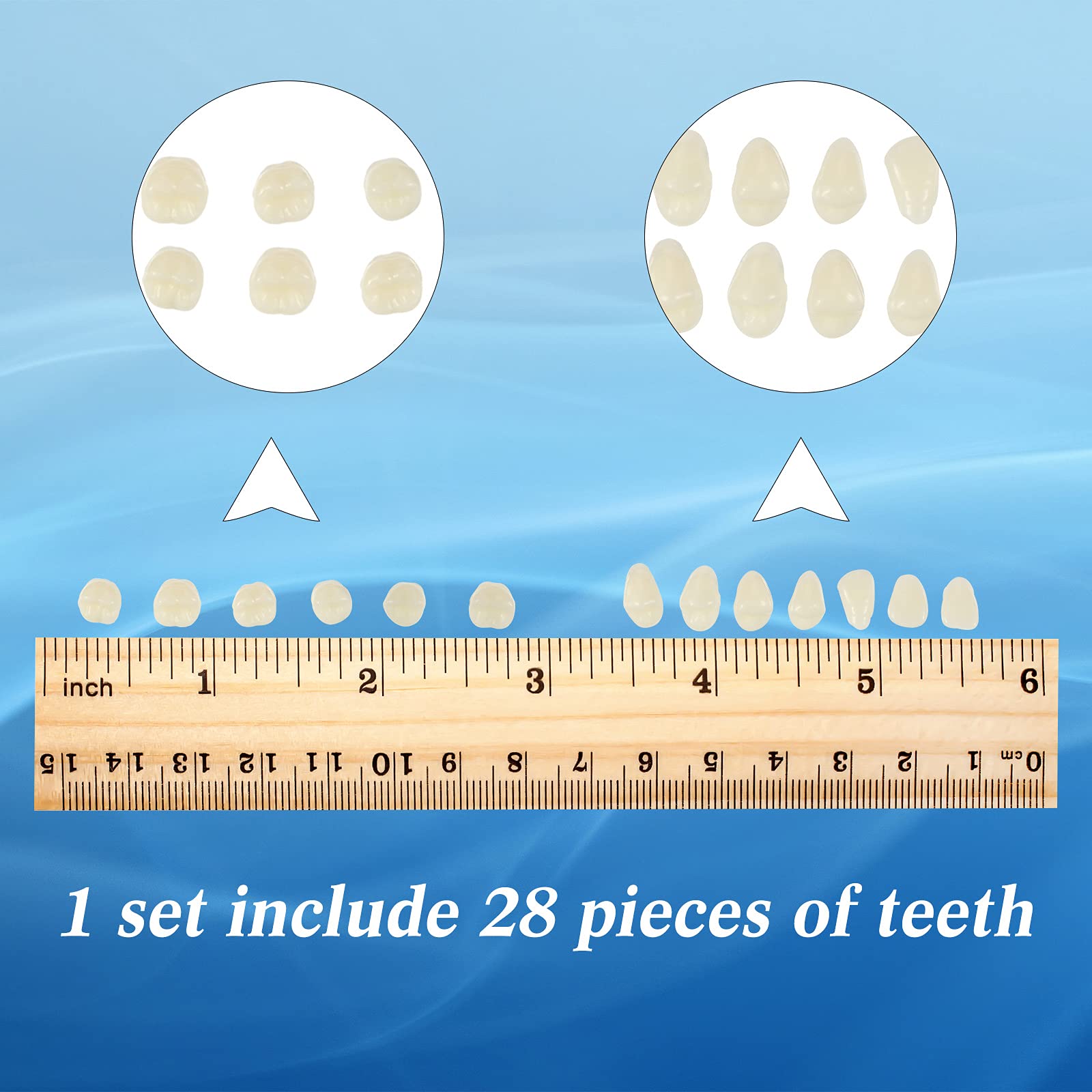 BBTO 6 Sets Acrylic Resin Fake Teeth – Denture Replacement Prop, A2, 168 Pieces