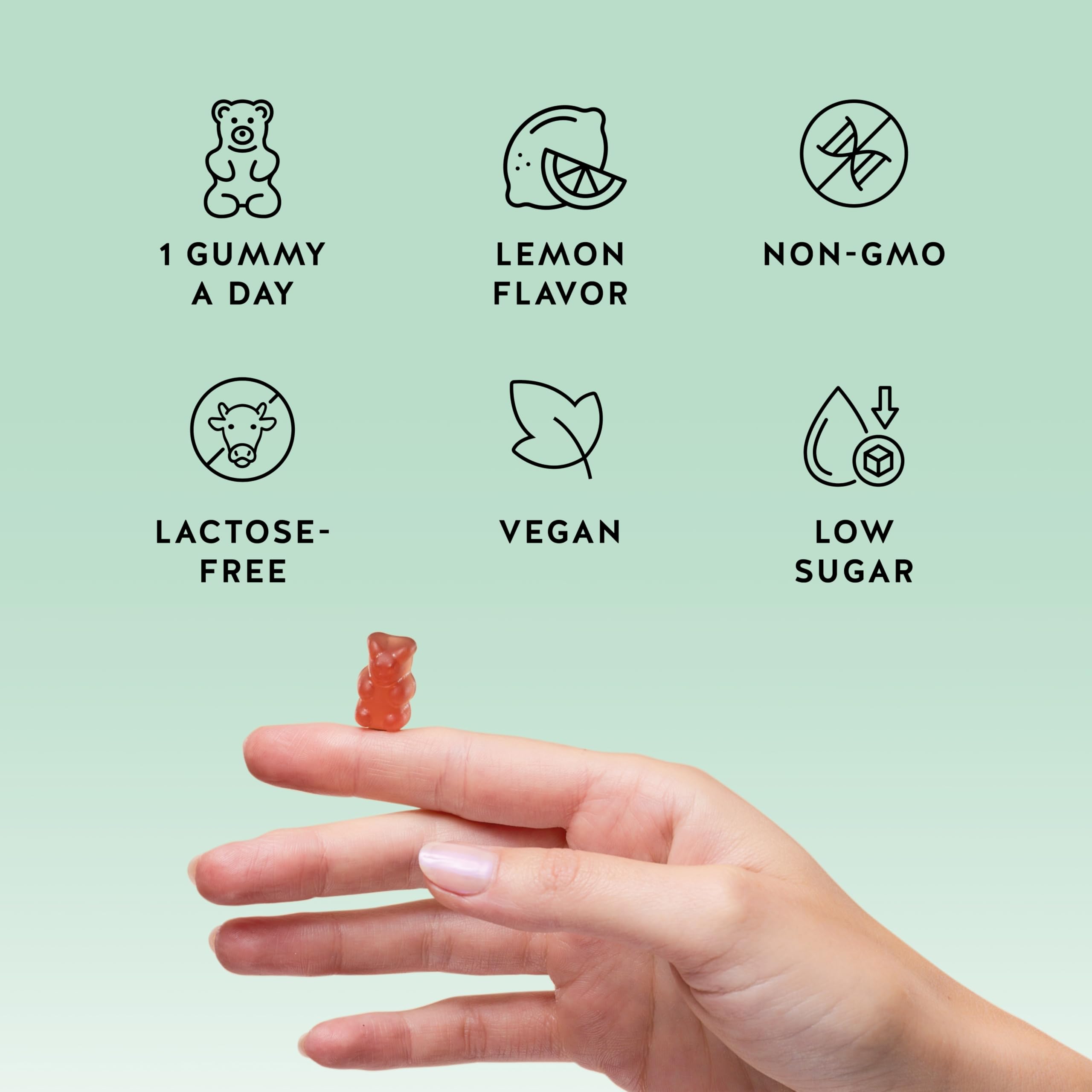 Bears with Benefits Immune Support Gummies – Vitamins C, D, B6 & B12 | Vegan (30 Gummies)