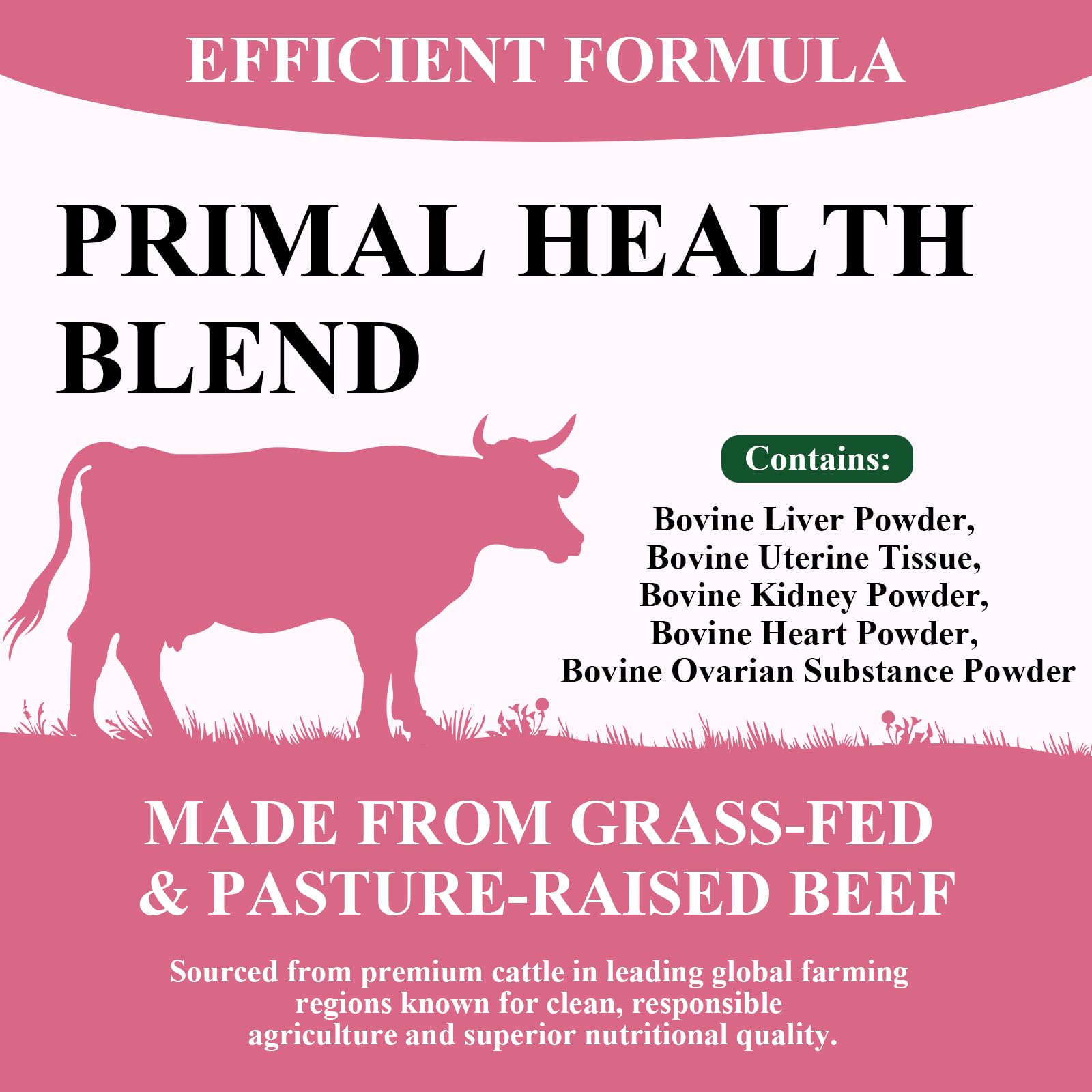 Beef Organ Supplement for Women - Primal Health Blend Capsules | 90 Capsules