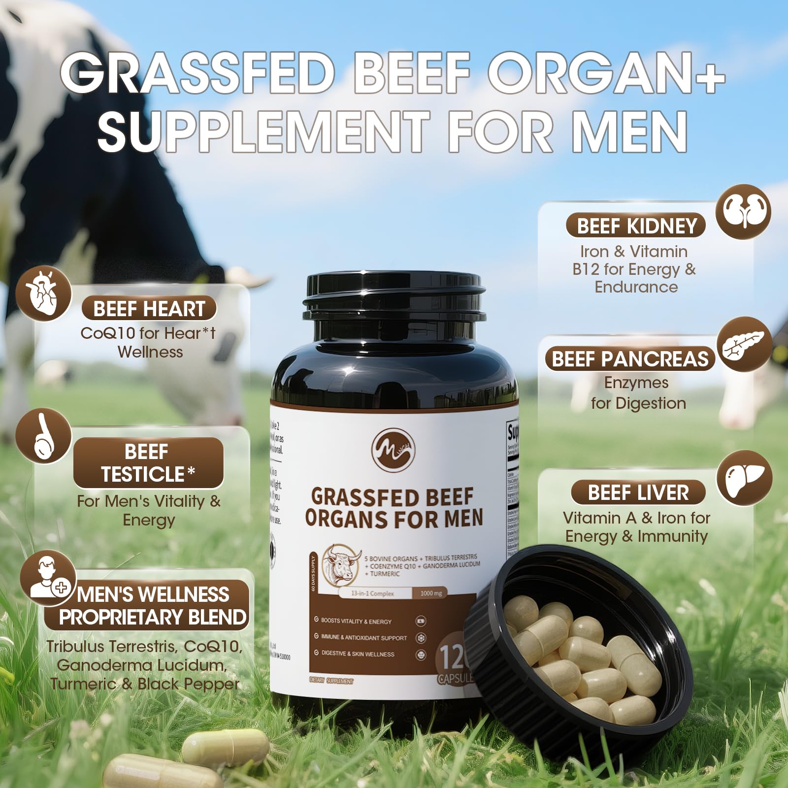 Beef Organs Supplement for Men – 13-in-1 Grass-Fed Beef Organs, Tribulus Terrestris, CoQ10, Ganoderma | 120 Count