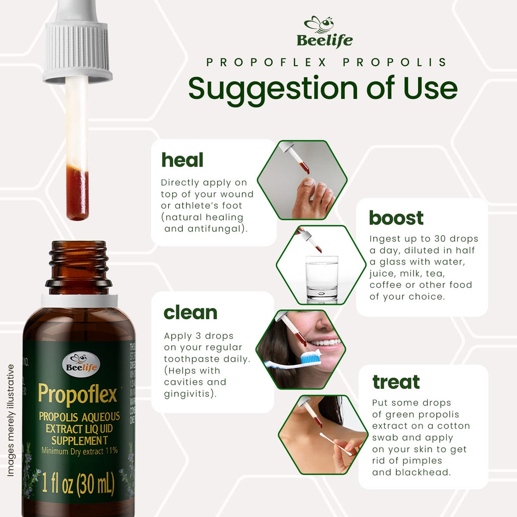 Beelife Propoflex Green Propolis Extract | Alcohol-Free Propolis Tincture | High Artepillin-C | Made in Brazil