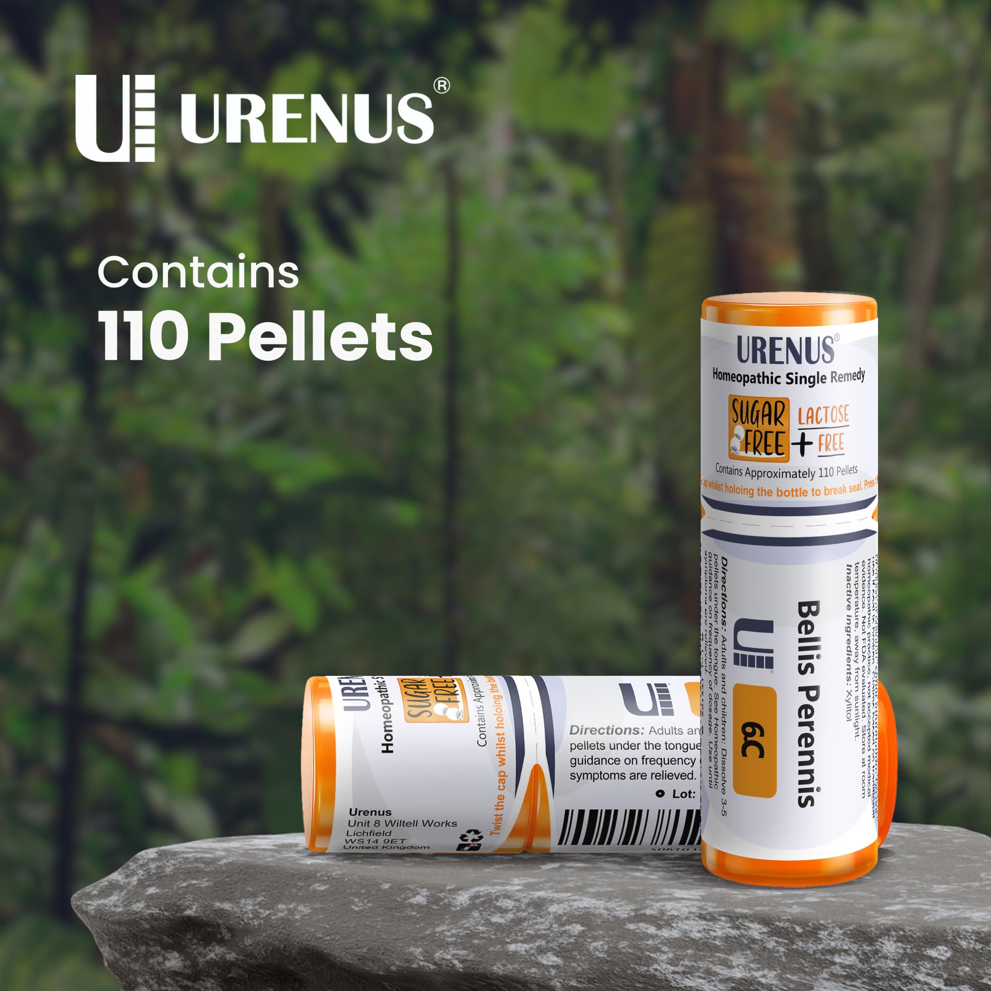 Bellis Perennis 6C Sugar Free Lactose Free Homeopathic Remedy – 110 Pellets | Urenus
