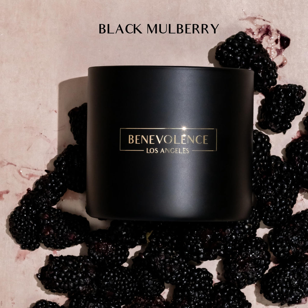 Benevolence LA 3-Wick Candle – Black Berries (Baies) – Large Christmas Scented Soy Candle | 14.5 oz, 45 Hour Burn