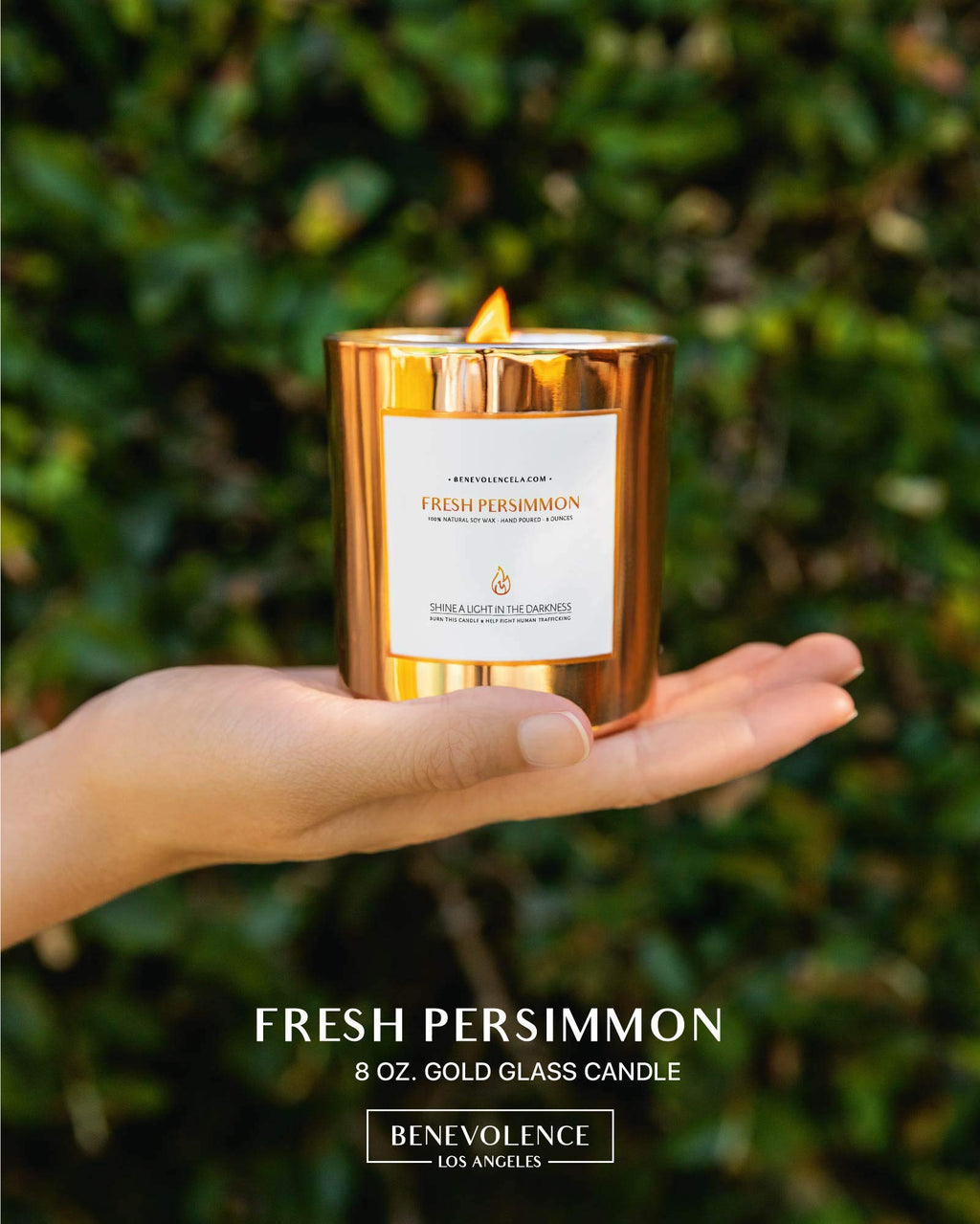 Benevolence LA Persimmon Wood Wick Soy Candles - 8oz, 45 Hour Burn