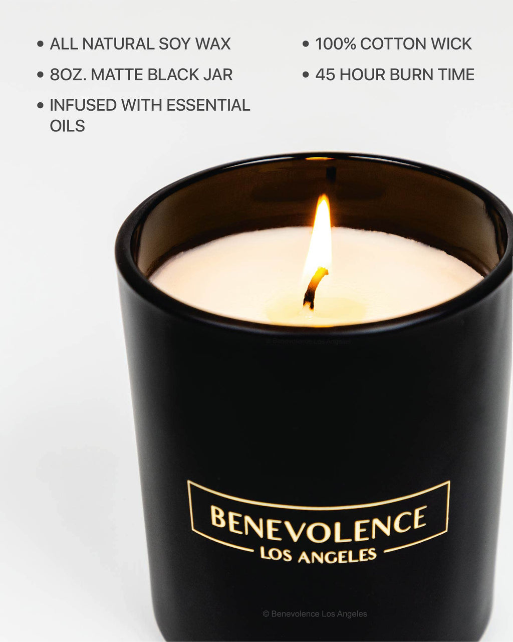 Benevolence LA Pine Scented Candle | 8oz Soy Candle