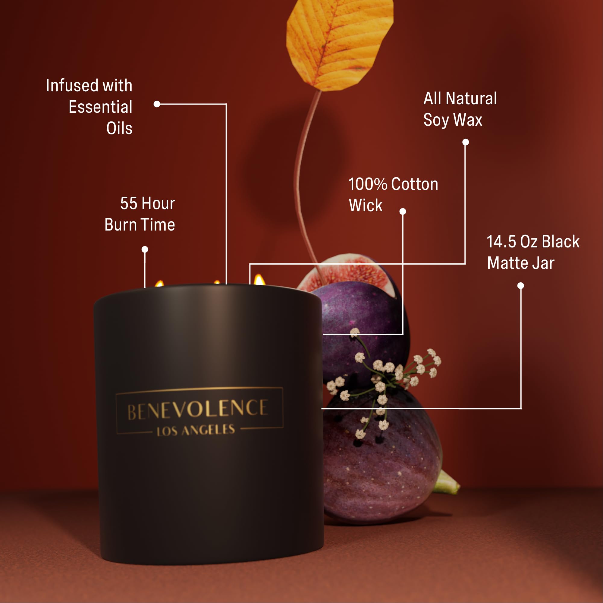 Benevolence LA 3-Wick Fig Tree Candle – 14.5 oz Soy, Holiday Scent
