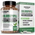 Benevolent Chlorophyll Capsules 350mg – 120 Caps | Natural, 20x Potency