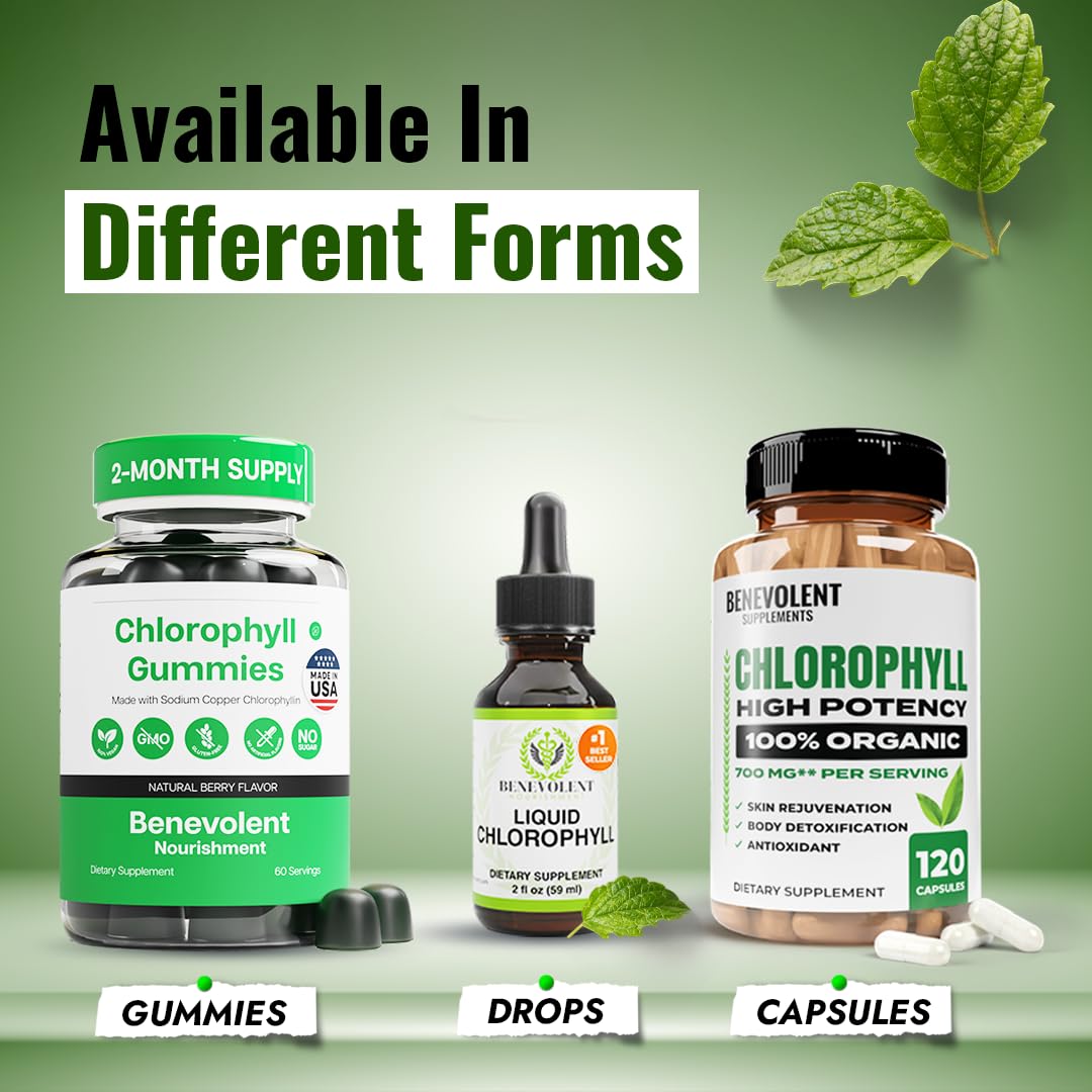 Benevolent Chlorophyll Capsules 350mg – 120 Caps | Natural, 20x Potency