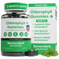 Chlorophyll Gummies – Detox & Immune Support, Sugar-Free | 60 Count