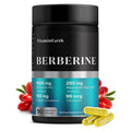 Vitamin Earth Berberine Complex – 1000mg Berberine HCl + Magnesium, Cinnamon, Chromium | 90 Capsules