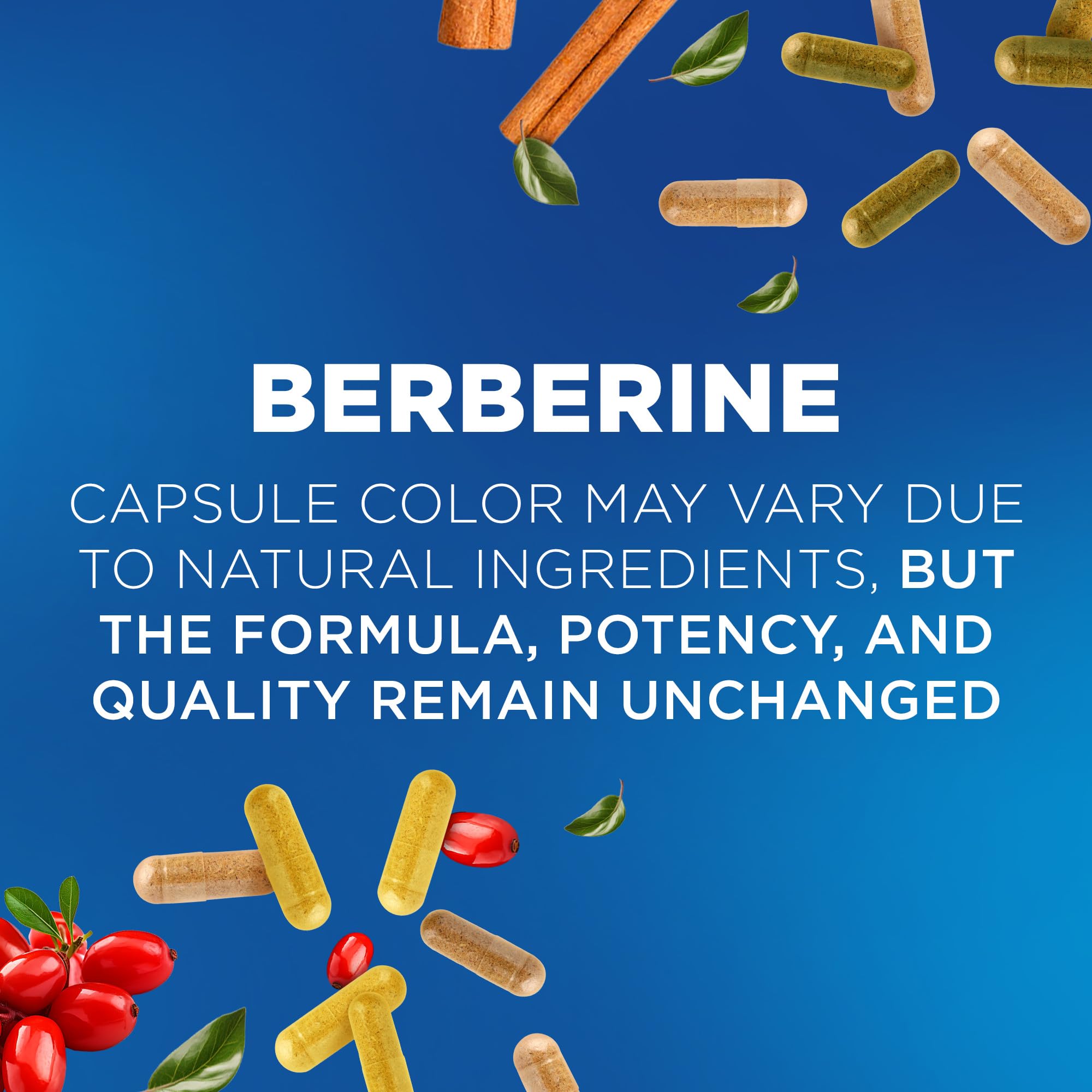 Nutrivein Premium Berberine HCL 1200 mg with Ceylon Cinnamon - 120 Capsules | High-Absorption Berberine for Digestion, Metabolism & Defenses