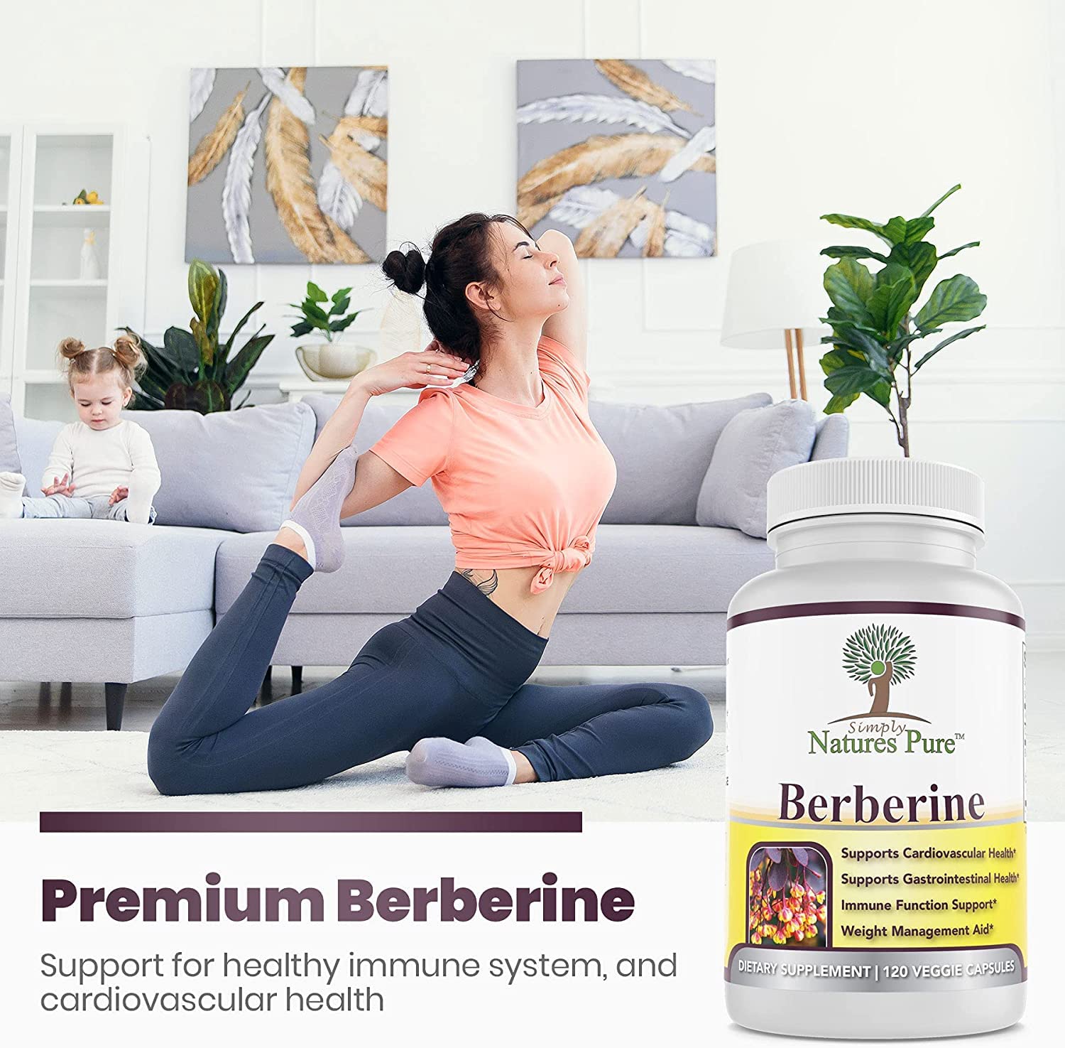 Simply Natures Pure Premium Berberine HCl 500mg - 120 Capsules - Cardiovascular GI Immune Support - Chromium Cinnamon (Pack of 3)