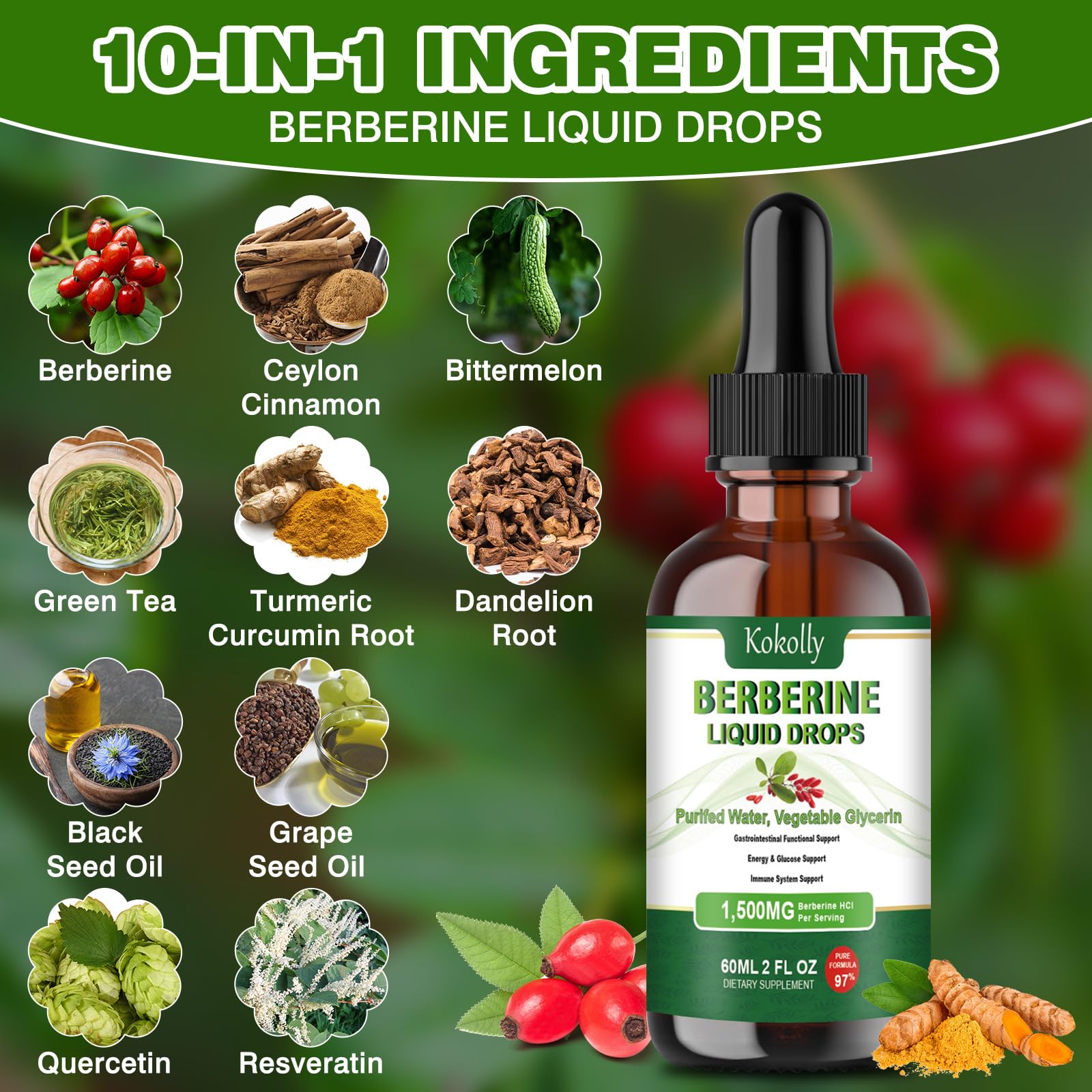 Berberine HCL Liquid Drops 1500mg | Metabolism & Immune Support