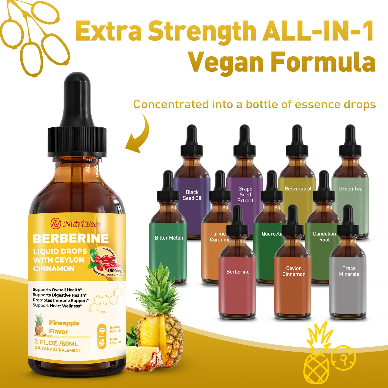 Berberine Liquid Drops with Cinnamon & Turmeric – 2 oz | AMPK, Digestion & Immune Support