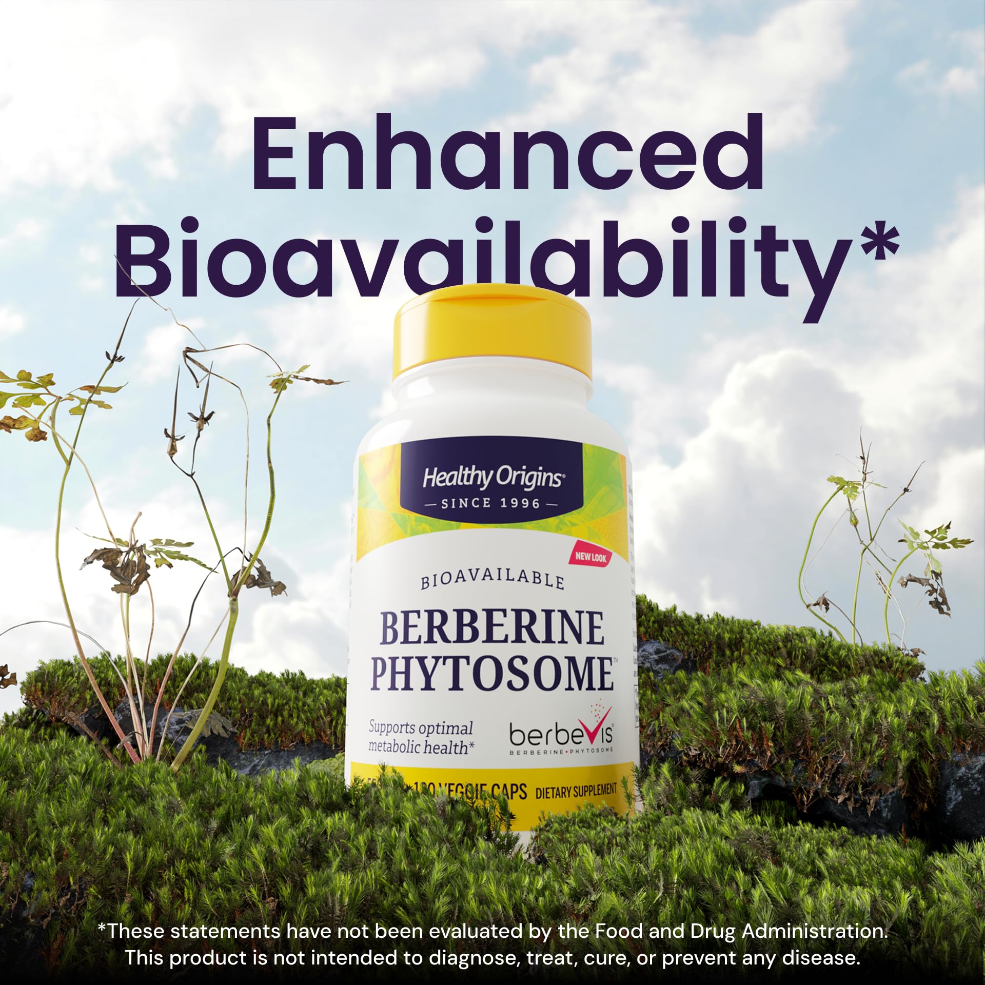 Healthy Origins Berberine Phytosome 550 mg (Berbevis) – Metabolic Support