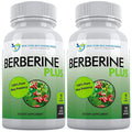 Berberine Plus 1200 mg | Doctor Recommended Supplements | 120 Veggie Capsules (Pack of 2)