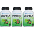 Berberine Plus 1200mg | 120 Veggie Capsules | Doctor Recommended Supplements