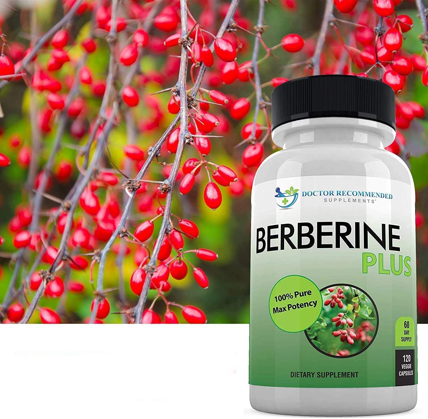 Berberine Plus 1200 mg | Doctor Recommended Supplements | 120 Veggie Capsules (Pack of 2)