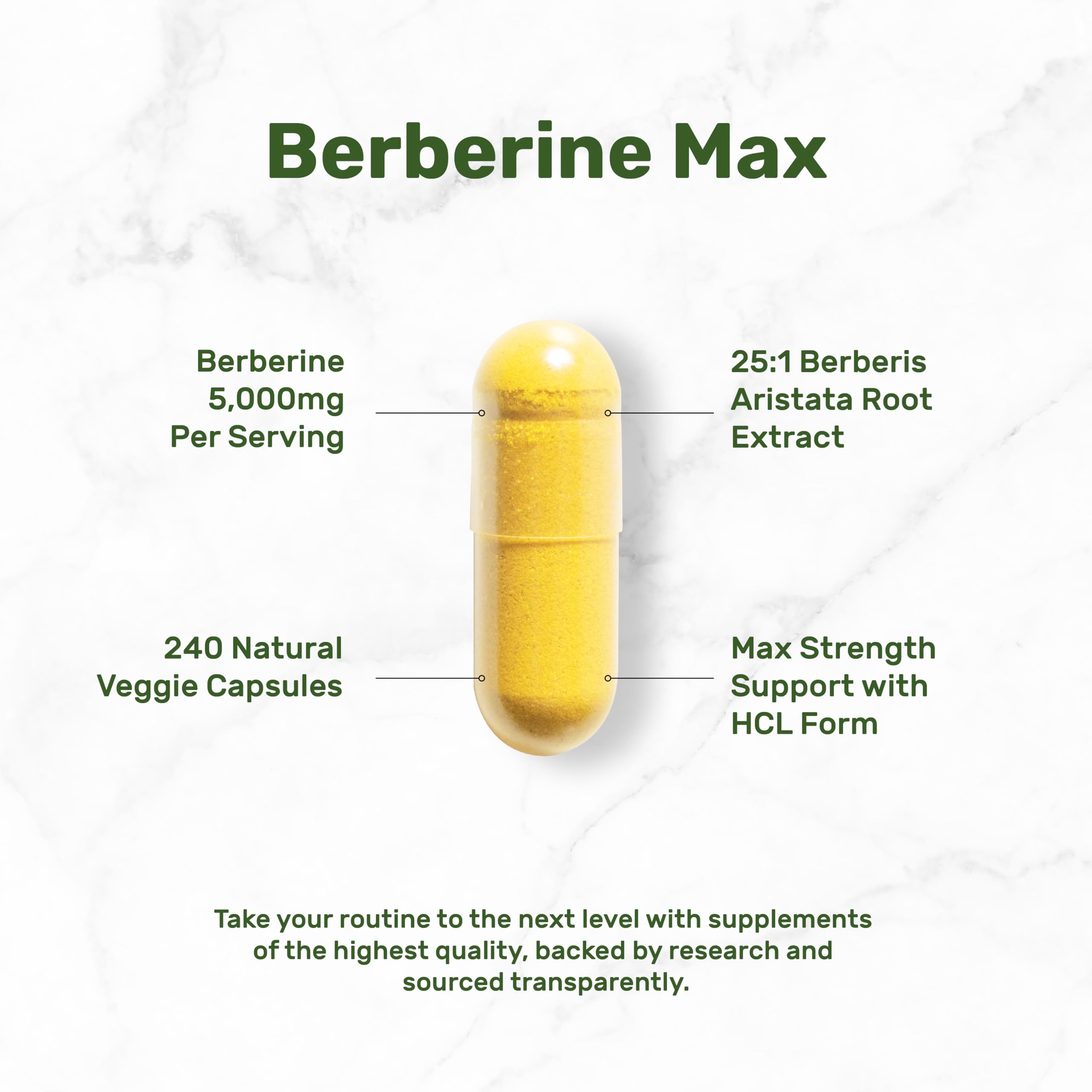 Berberine Max with Turmeric – 5,000mg per Serving | 97% Berberine HCl