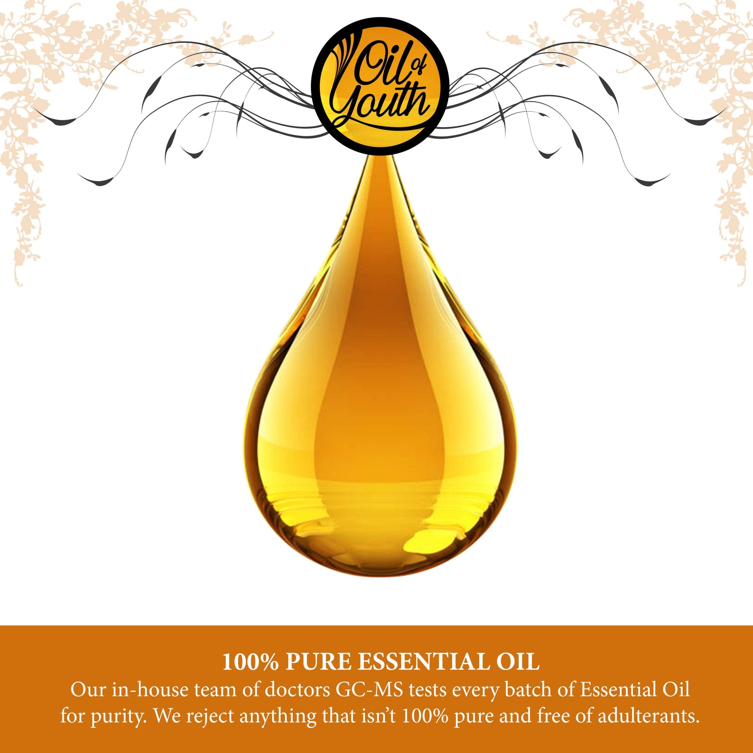 Oil of Youth Bergamot Essential Oil 16oz – Premium Pure, Therapeutic Grade